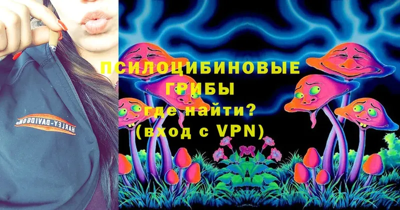 Галлюциногенные грибы Psilocybine cubensis  Дмитриев 